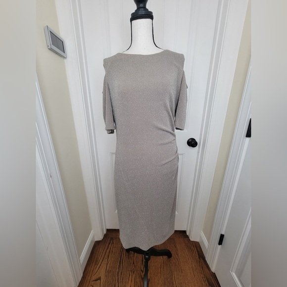 R&M Richards Dresses & Skirts - R&M Richard Elegant Silver Shimmer Women's Dress